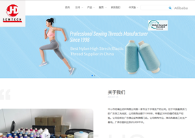 中山市經(jīng)瀚達紡織有限公司網(wǎng)站建設(shè)